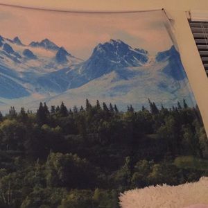 Mountain Forrest tapestry
